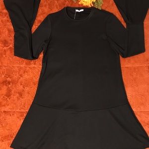 Zara Mini Black Long Sleeve Dress